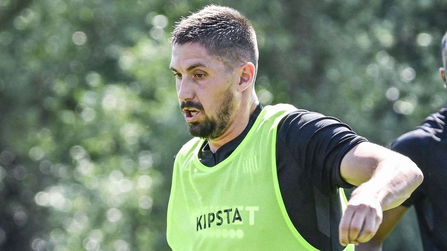 仅仅是名称 仅仅是名称