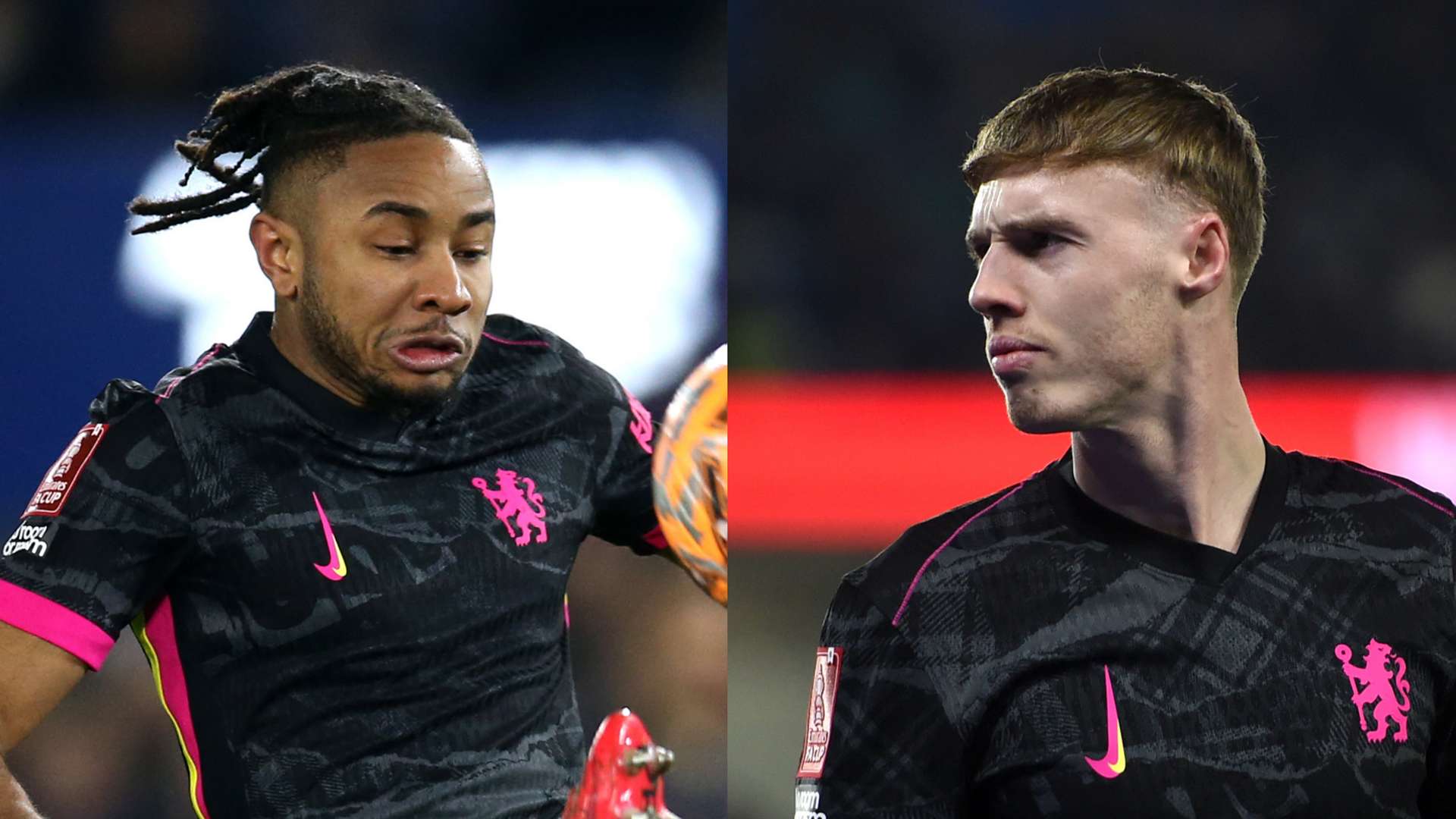 样经验丰富 样经验丰富